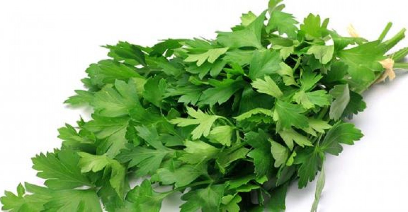 فوائد البقدونس الغذائيه .