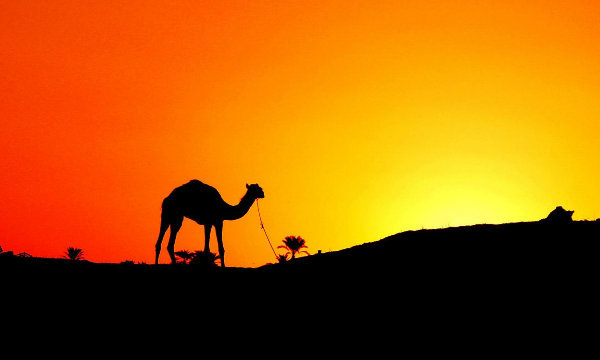 سراقة بن مالك