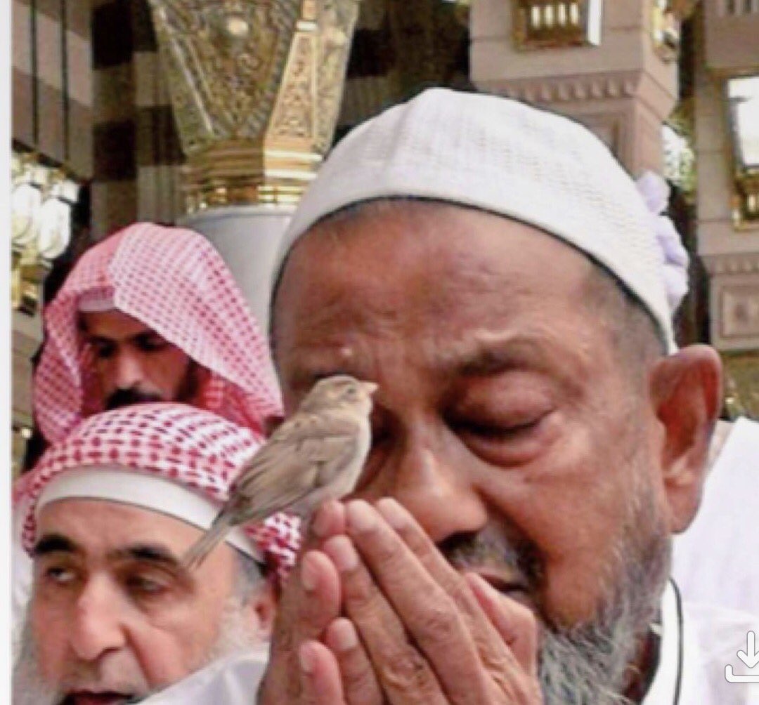 دعاء منع الكوابيس والاحلام المزعجه